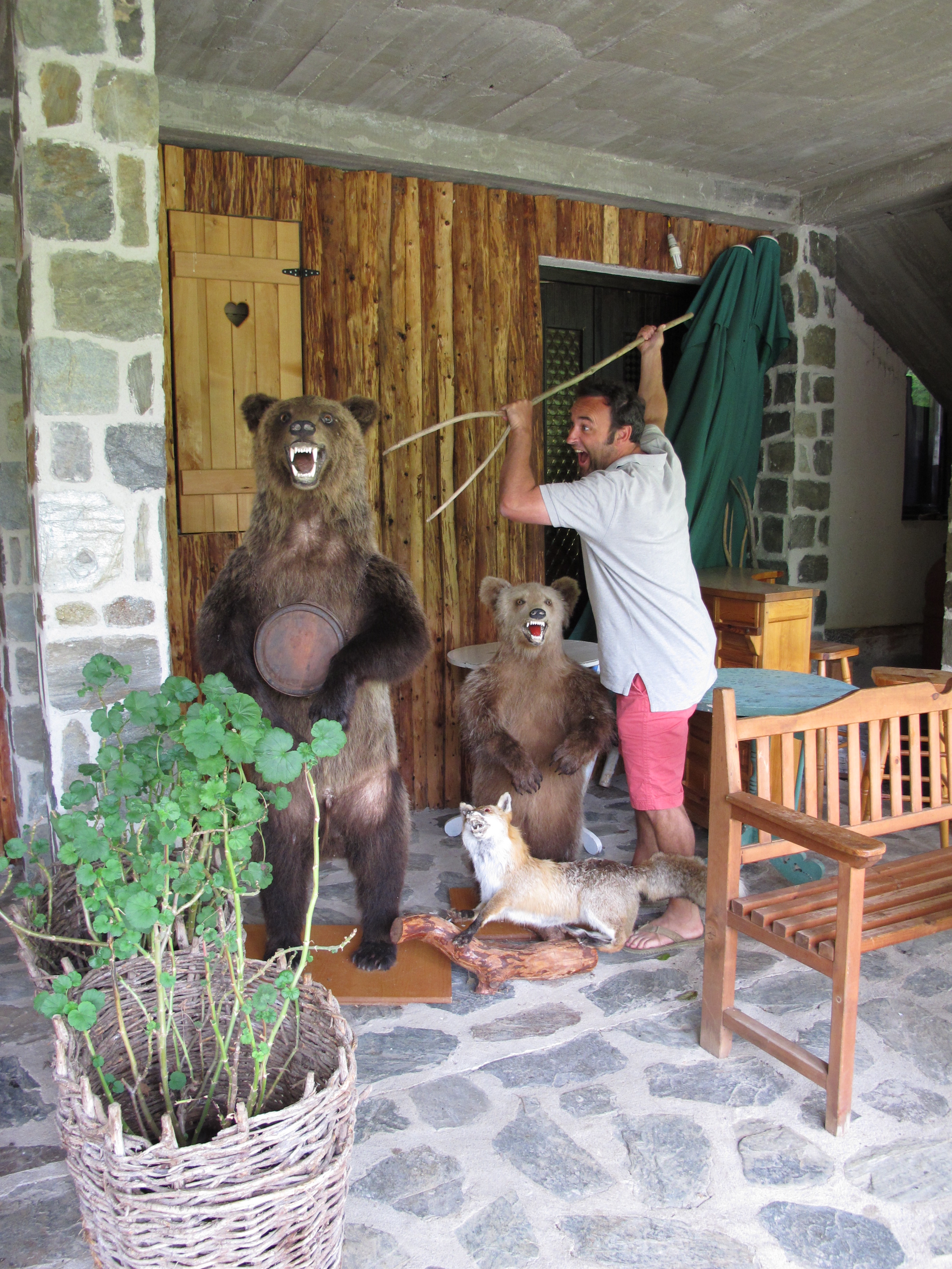 Where the Bison Roam…and other beasts Explorers Club picture